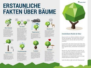 Infografiken Funktionieren: Anleitung, Beispiele & Tools | Mindshape ...