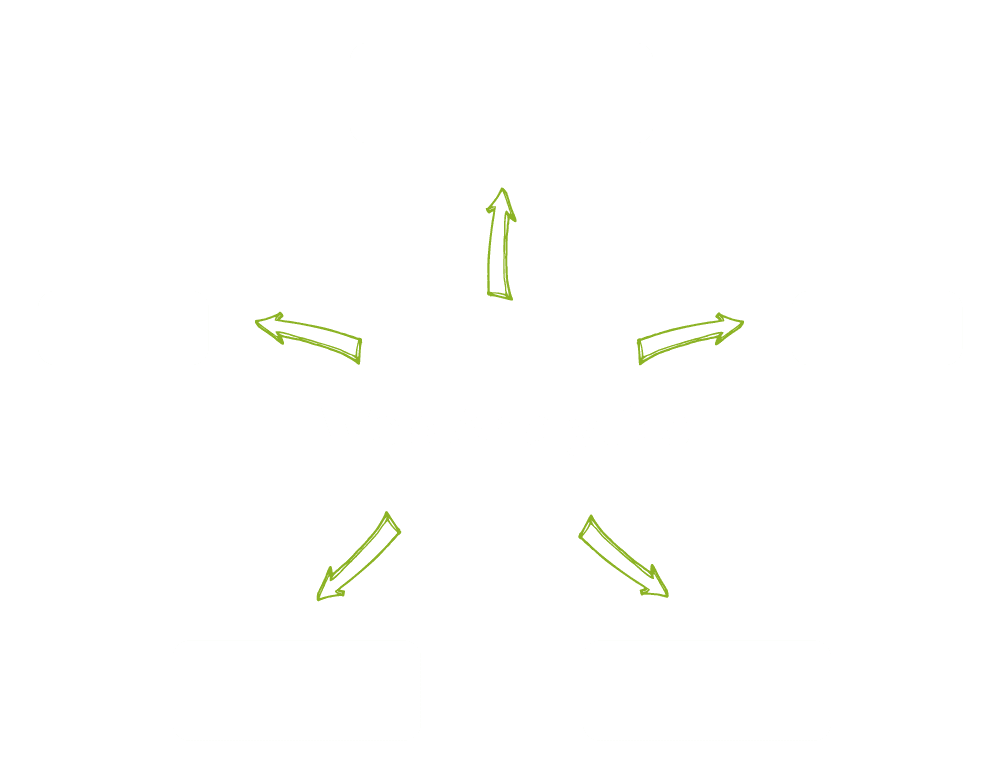 Web Analytics Agentur