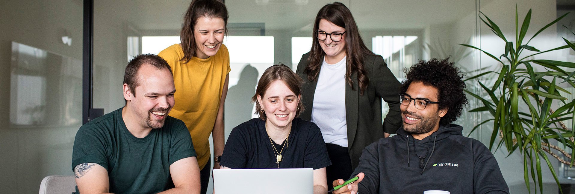 mindshape: fünf Teammitglieder schauen auf einen Laptop