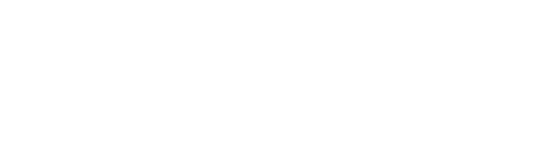 Logo Evers weiß