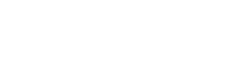 Logo Deutsches Seniorenportal weiß